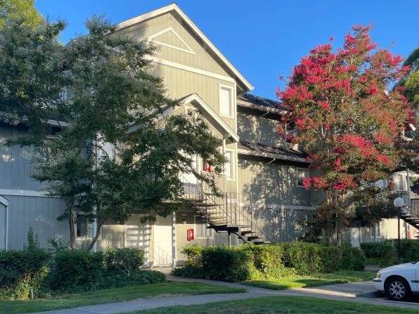 1BR/1BA Apartment · Rohnert Park photo 5