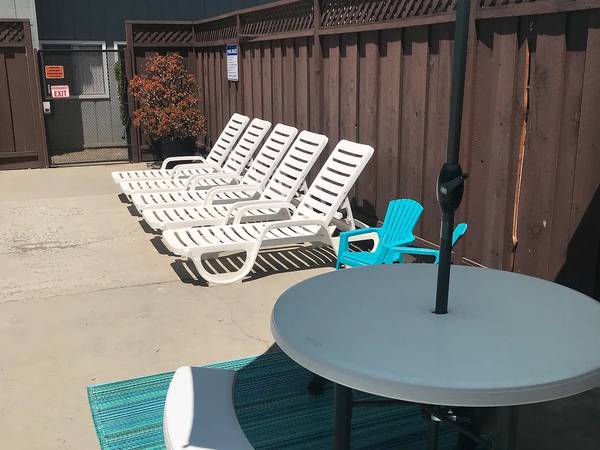 Shearwater Apartments photo 5