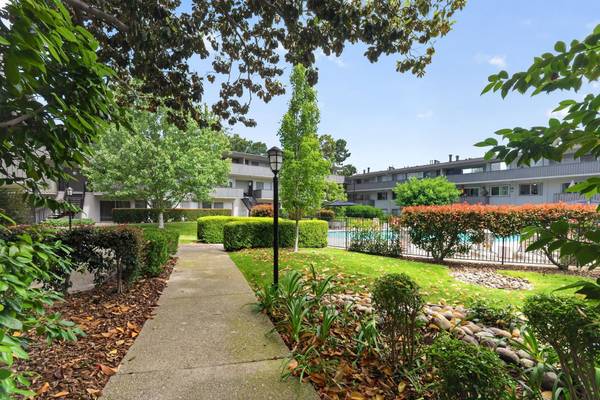 Stanford Villa photo 4