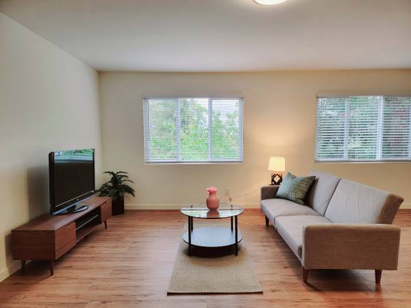 Redwood City: Unfurnished And Remodeled Studio W/ Laundry In Unit &amp; Parking Included photo 4