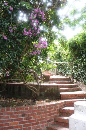1BR/1BA In Law Adu · Berkeley photo 2