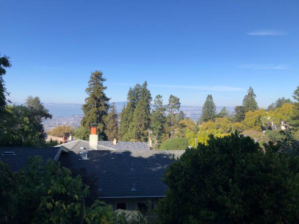 1BR/1BA In Law Adu · Berkeley photo 3