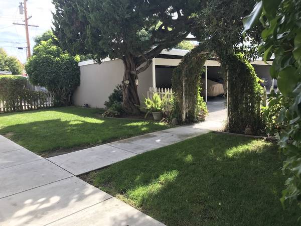 1BR/1BA Apartment · Campbell photo 4
