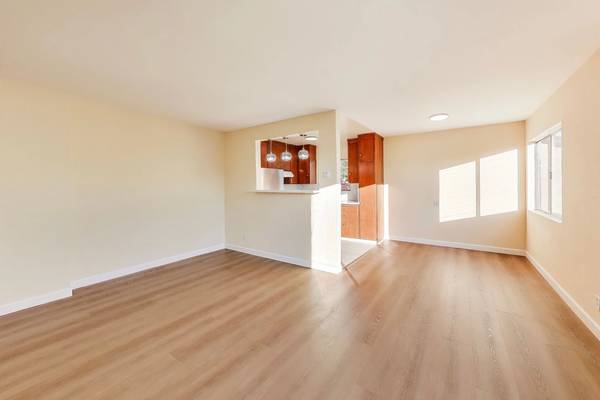 295 Buchanan St photo 5