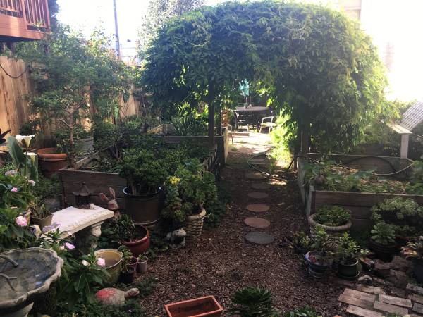 3BR/1BA Apartment · San Francisco