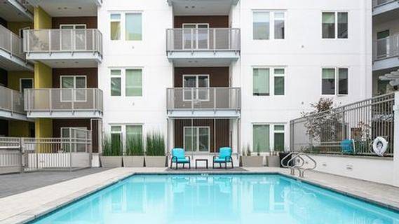 1BR/1BA Apartment · San Jose photo 3