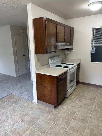 834 Carlita Cir photo 5