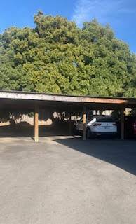 2BR/1BA Apartment on Sea Ridge Rd. · Aptos photo 2
