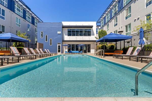 1BR/1BA Apartment · San Jose photo 2