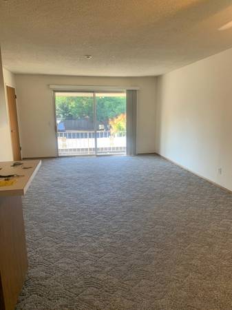 1BR/1BA Apartment · Santa Rosa photo 5