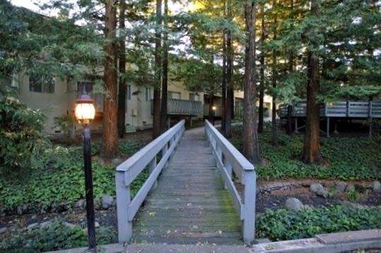 Pebble Creek III