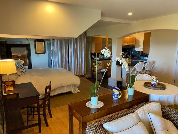 0BR/1BA In-Law · Belvedere Tiburon photo 2