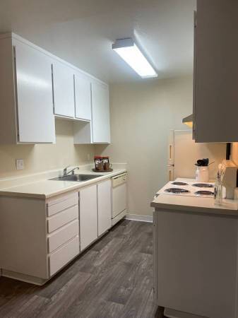 1BR/1BA Apartment on Branham Lane Near Dent Avenue · San Jose photo 4