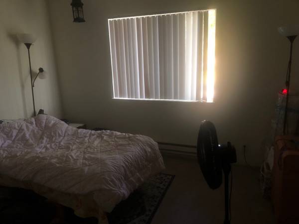 2BR/2BA Apartment · San Jose photo 3