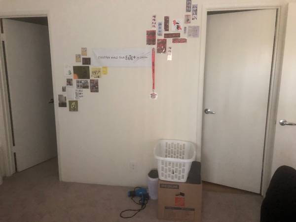 2BR/2BA Apartment · San Jose photo 4