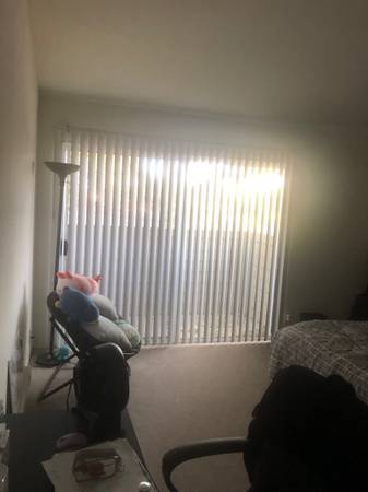2BR/2BA Apartment · San Jose photo 2