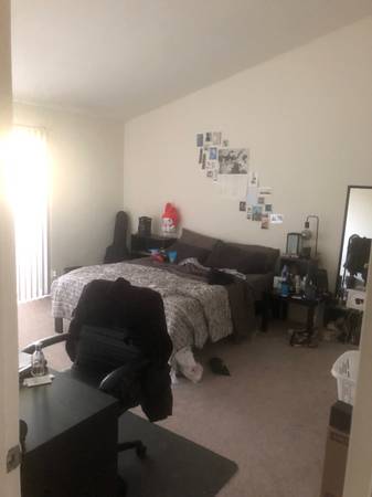 2BR/2BA Apartment · San Jose photo 5
