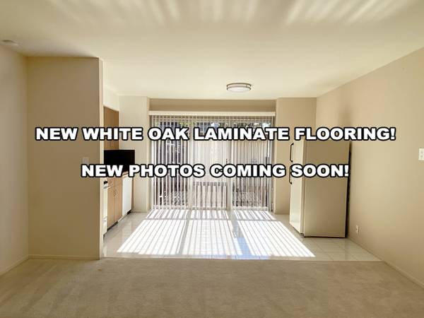 431 Dinah Court photo 3