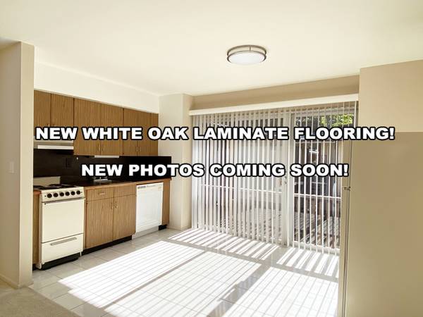 431 Dinah Court photo 2