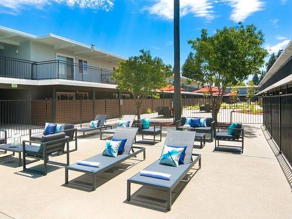Apartments on W Jackson St · Hayward photo 3