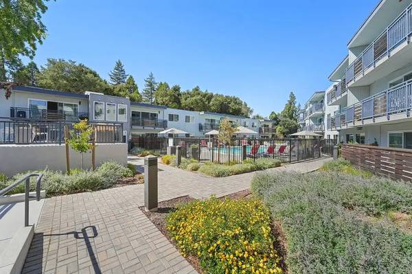 1BR/1BA Apartment · Walnut Creek photo 4