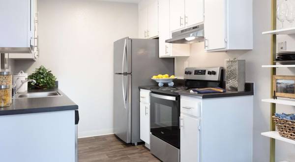 2BR/1BA Apartment · Pleasanton photo 3