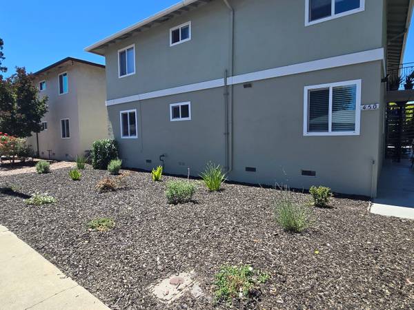Apartments on California St · Santa Clara photo 5