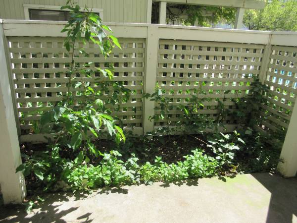 Apartments on Bay View Farm Road · Pinole photo 3