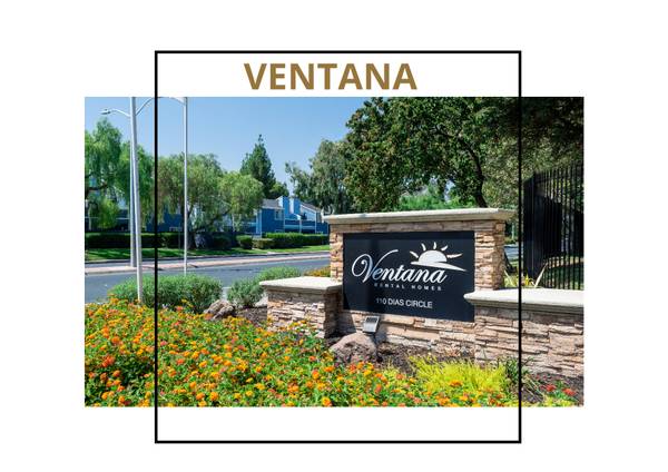 Ventana Apartments photo 5