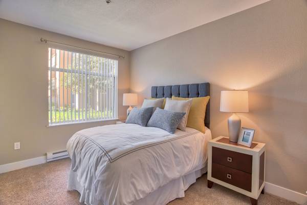 1BR/1BA Apartment · San Jose photo 5