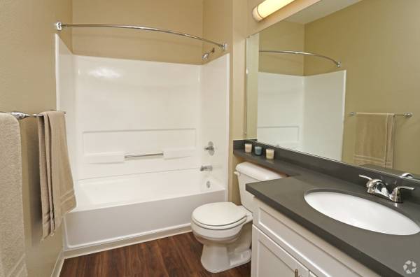 1BR/1BA Apartment · San Jose photo 4