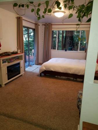 1BR/1BA Apartment · Felton photo 4