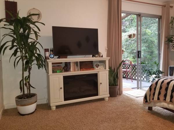 1BR/1BA Apartment · Felton photo 3