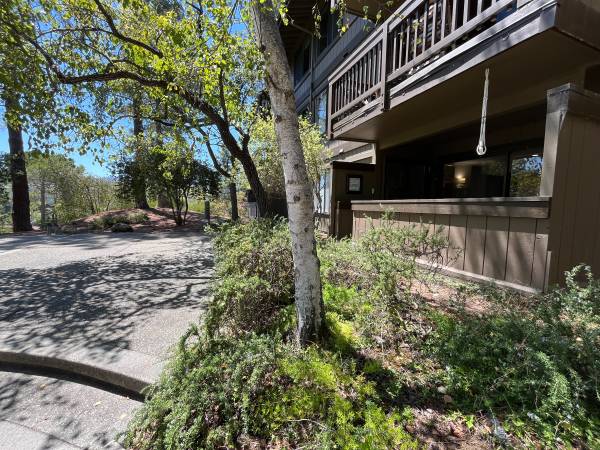 2BR/2BA Condo · San Carlos