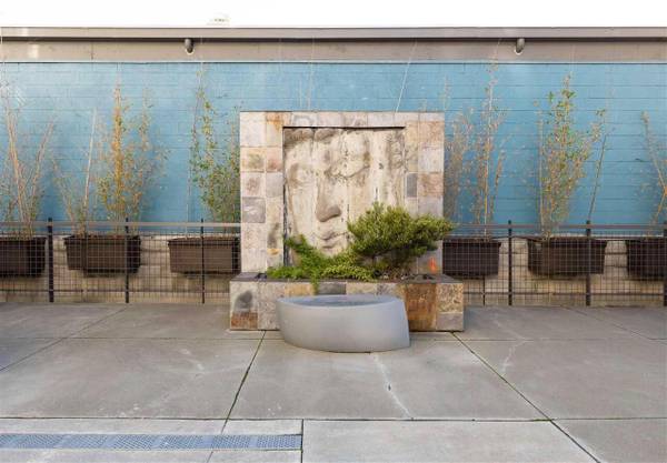 1BR/1BA Apartment · Emeryville photo 2