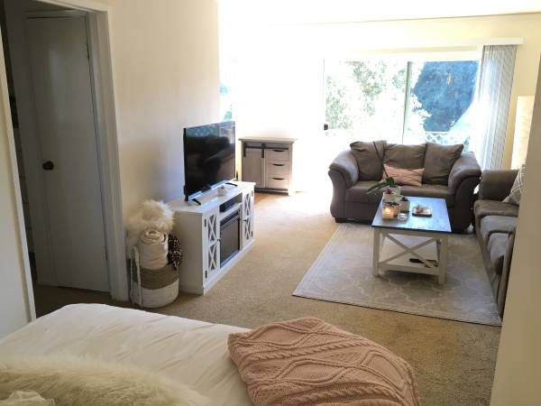 0BR/1BA Apartment · San Mateo photo 2