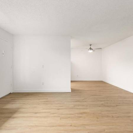 1BR/1BA Apartment · San Mateo photo 4