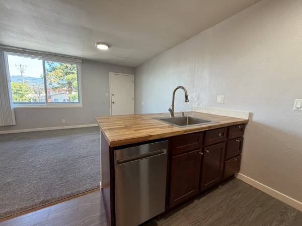 Tahoe Terrace Apartments photo 4