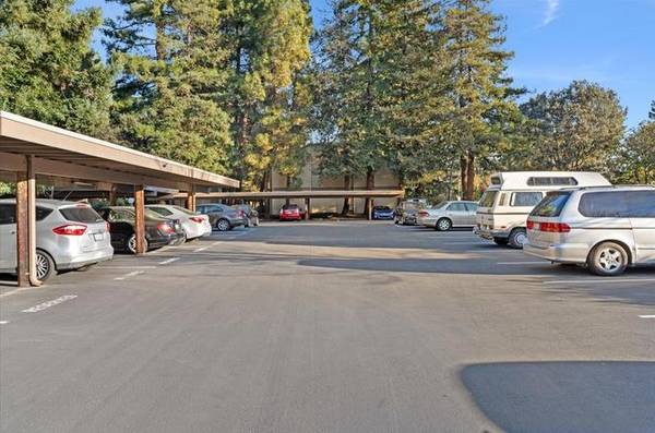 1BR/1BA Condo on Cypress Point Dr · Mountain View photo 2