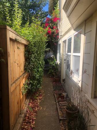 1BR/1BA In Law Adu · Oakland photo 3