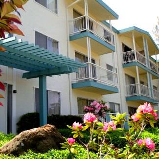 1BR/1BA Apartment on Caprino Way · San Carlos photo 4