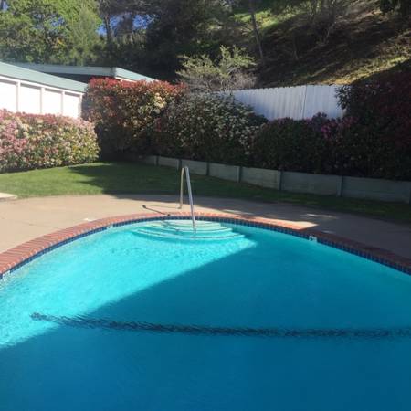 1BR/1BA Apartment on Caprino Way · San Carlos photo 5