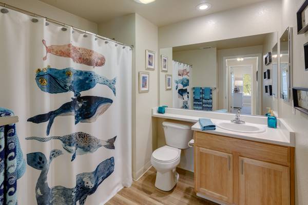 Apartments on Vineyard Creek Drive · Fulton photo 3