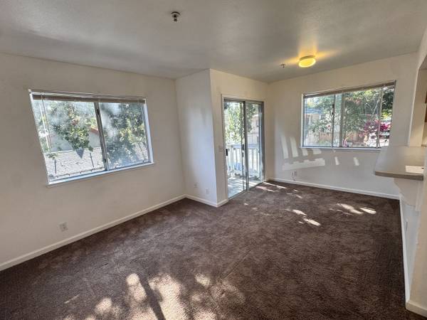 1BR/1BA Apartment on Clark St Apt B · Santa Rosa photo 3
