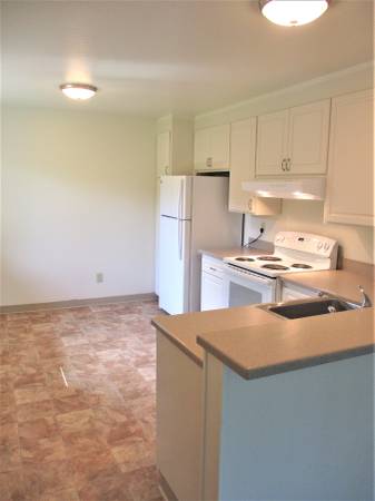 2BR/1BA Apartment on Franklin St. · Santa Cruz photo 4