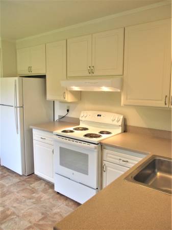 2BR/1BA Apartment on Franklin St. · Santa Cruz photo 5
