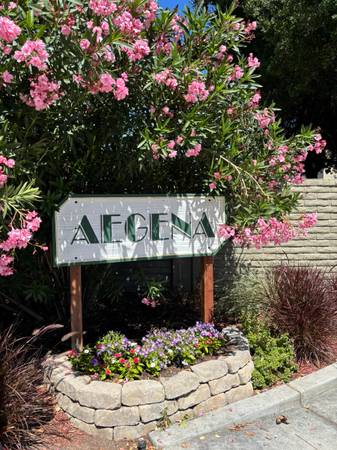 Apartments on Garbo Way Ste 107 · San Jose