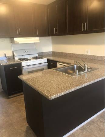 Vanguard Apartments photo 3