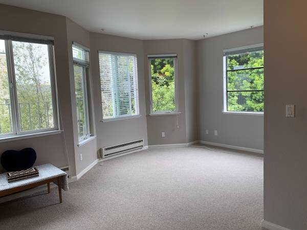 1BR/1BA Condo · San Francisco photo 3
