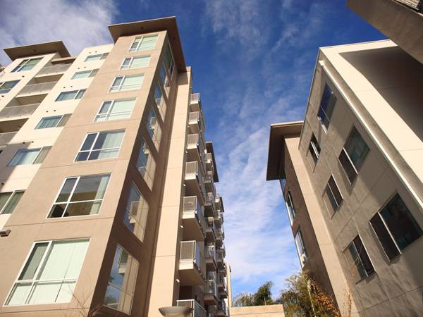 Apartments on Moreland Way · Santa Clara photo 4